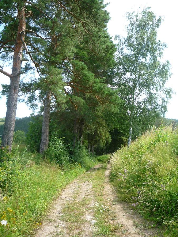 Wolfs Ferienhaus - Natuerlich Eifel Blankenheim  Eksteriør bilde