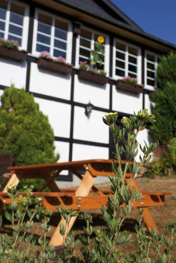 Wolfs Ferienhaus - Natuerlich Eifel Blankenheim  Eksteriør bilde